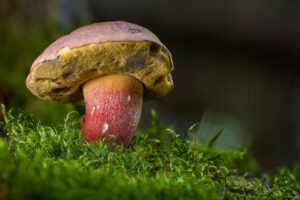 営業が続けられない心理に対する効果的な対応方法は？