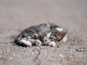 20代の営業が疲れたと感じる限界はどこにある？