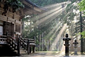 20代の営業職が感じる精神的限界とは？